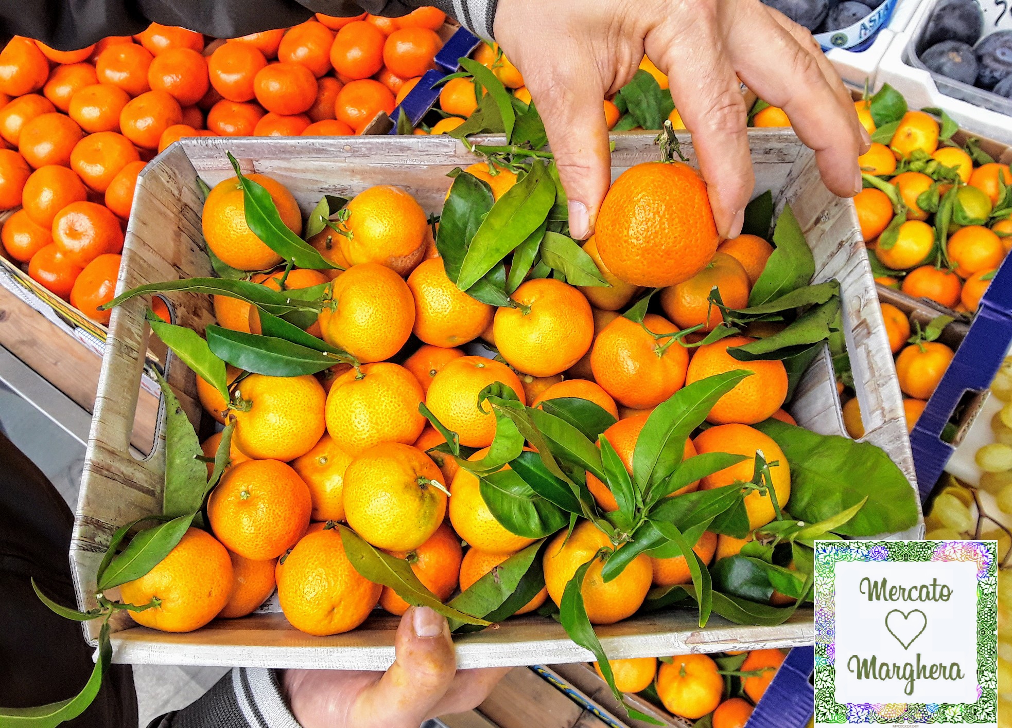M♡DOC Mercato Marghera - mandarini